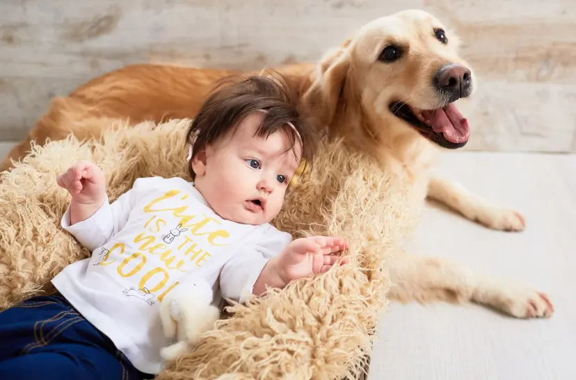 this image shopw that dog and baby rest